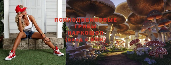 синтетический гашиш Ладушкин