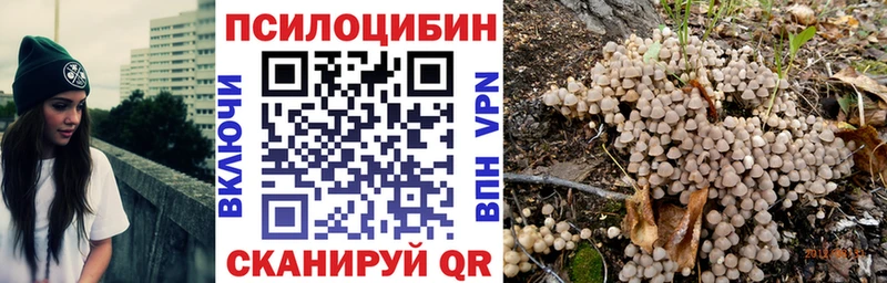 Купить где  Лыткарино  Псилоцибиновые грибы мицелий 